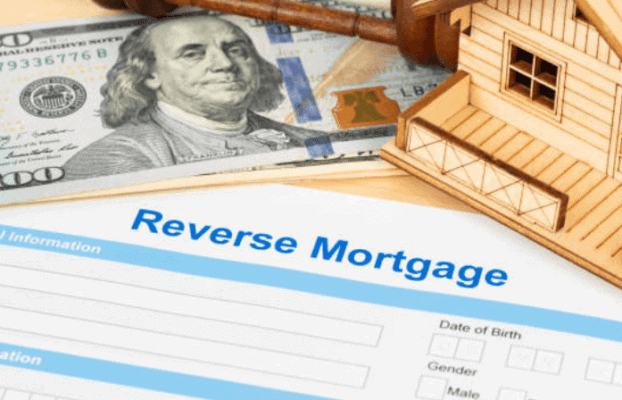 How Does a Chip Reverse Mortgage Work?