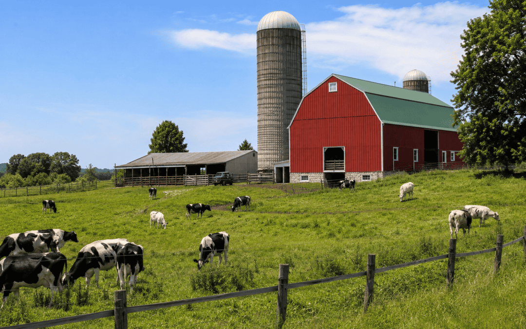 Hard Money Farm Loans Canada: A Complete Walk-Through